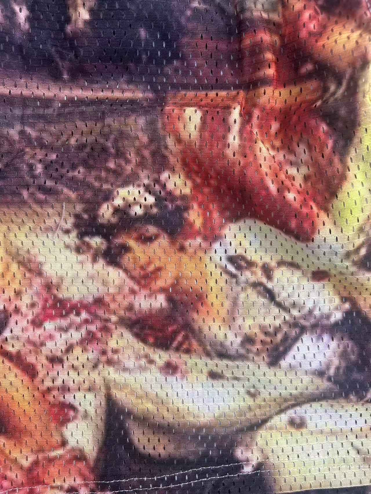 THE ROSES OF HELIOGABALUS SHORTS-8904