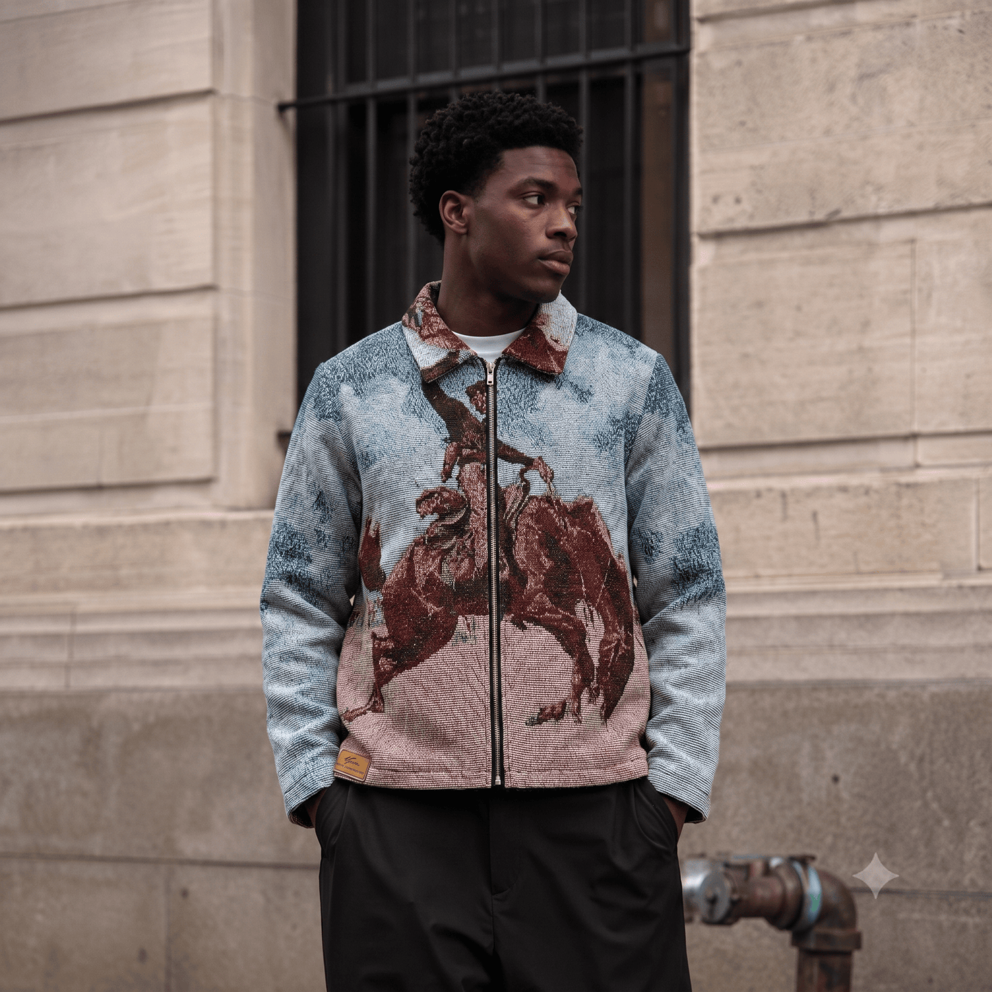 BUCK JUMPER TAPESTRY JACKET