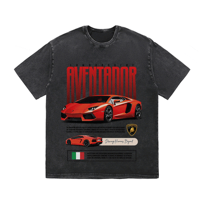 RDMCLOTHINGART tapestry hoodie AVENTADOR HEAVY WEIGHT COTTON TEE-8831