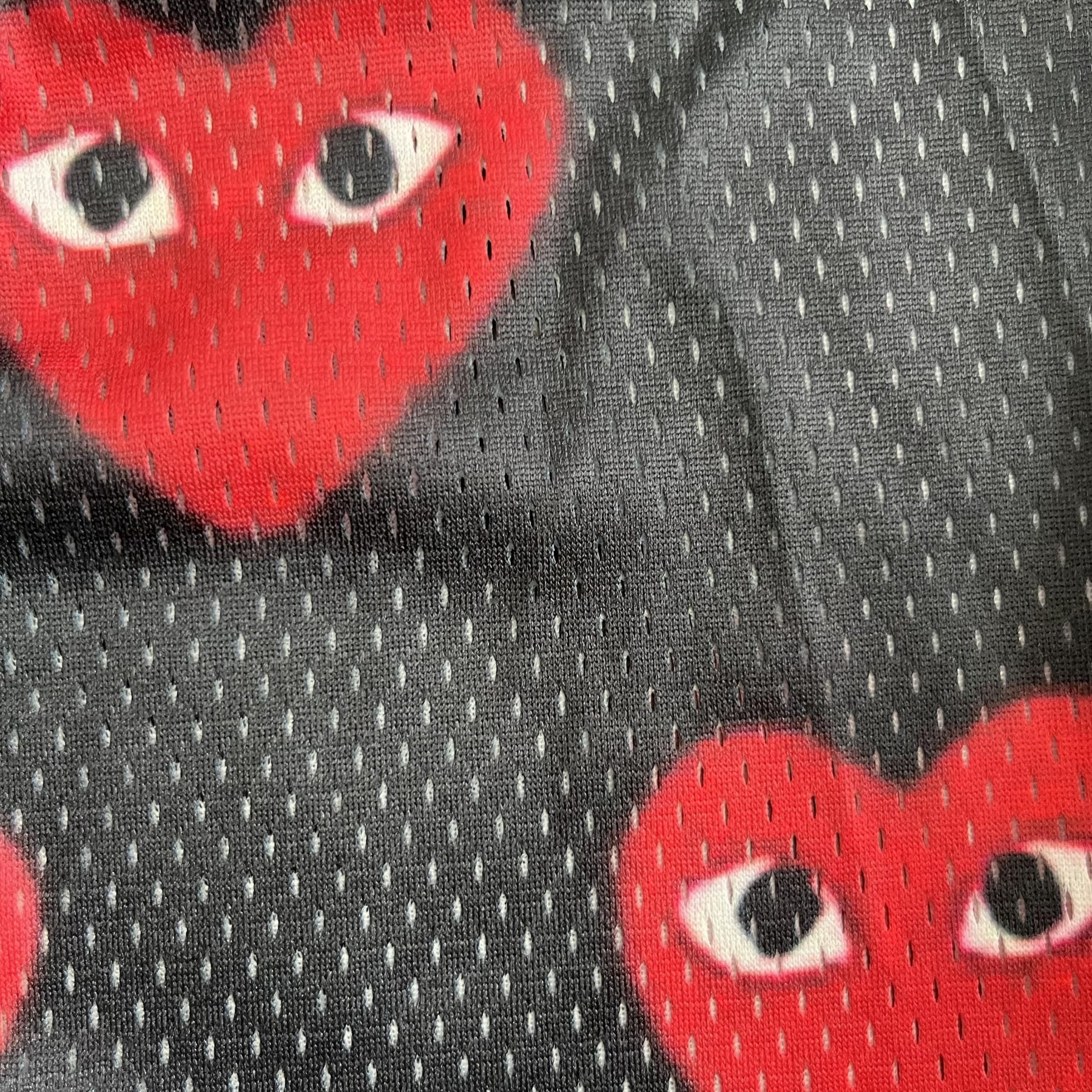 RDMCLOTHINGART tapestry hoodie B&RED CDG MESH SHORTS-8733