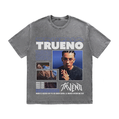 RDMCLOTHINGART tapestry hoodie TRUENOA HEAVY WEIGHT COTTON TEE-9026